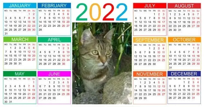 Condolence image of Patricia mit Bunny 