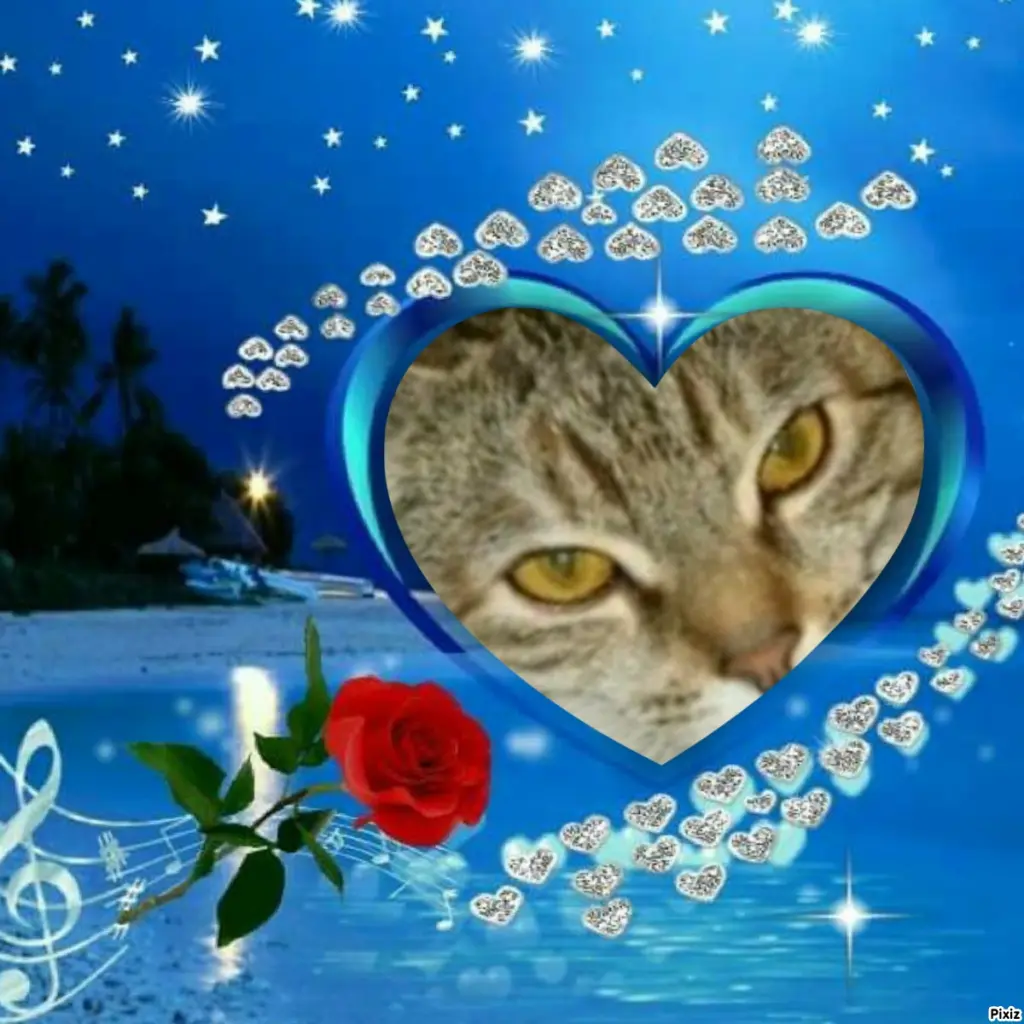 Condolence image of Tanja mit Timmy im Herzen 