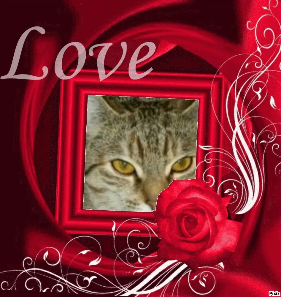 Condolence image of Post von Timmys Mutti Tanja an Prinzessin Marple und Mama Elisabeth 