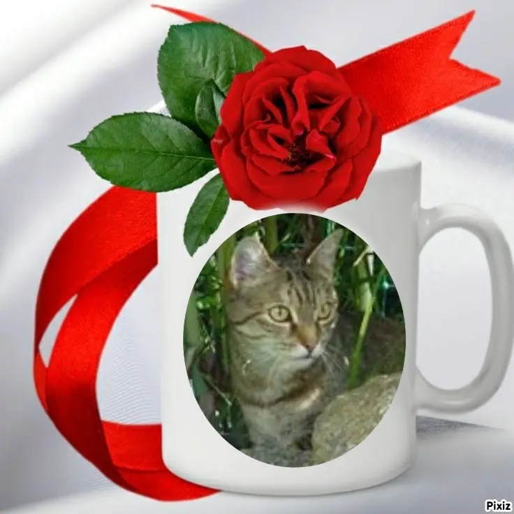 Condolence image of Patricia mit Bunny 