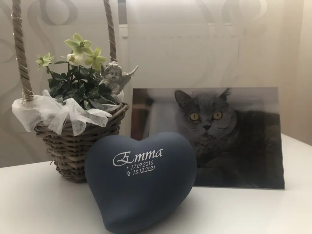 Condolence image of An Marpel und Mama Elisabeth❤️