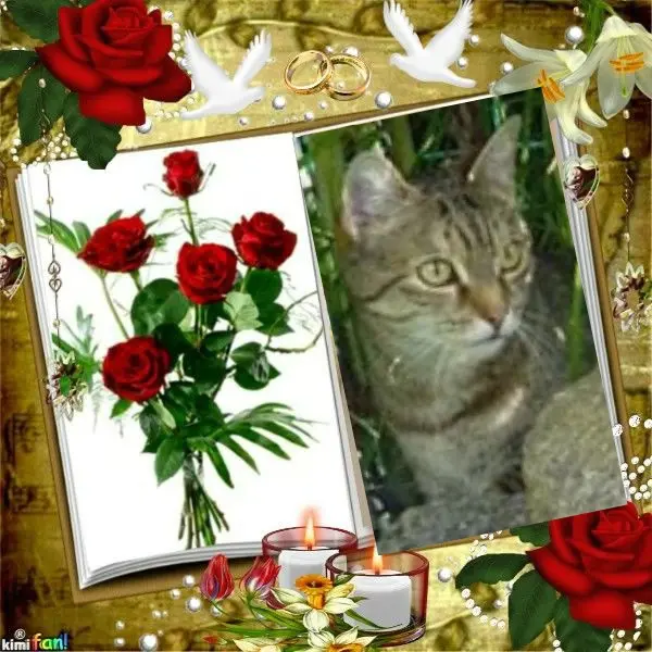 Condolence image of Patricia mit Bunny 