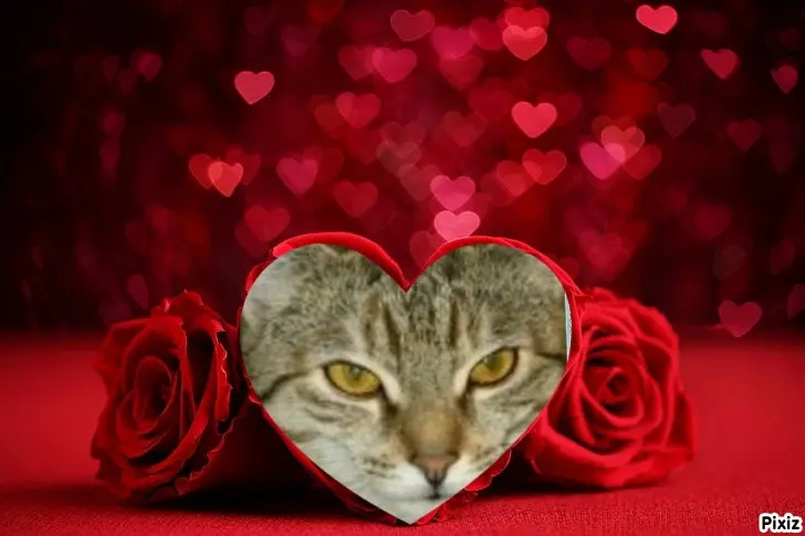 Condolence image of Tanja mit Timmy im Herzen 