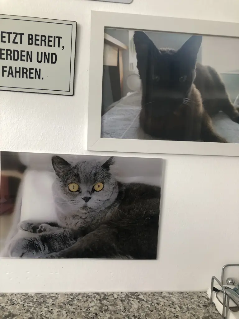 Condolence image of Sonja mit Emma im ❤️