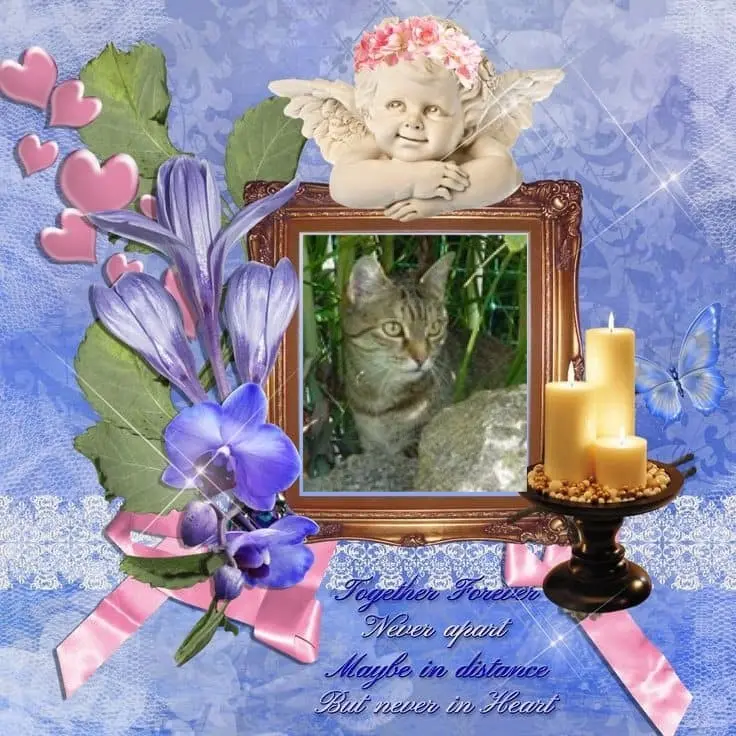 Condolence image of Patricia mit Bunny 