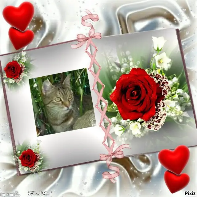 Condolence image of Patricia mit Bunny