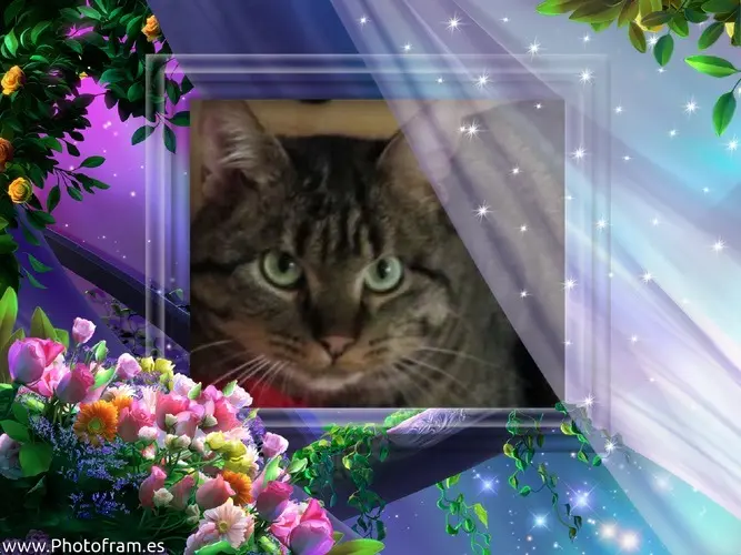 Condolence image of Ravis und Zausels Menschenmami