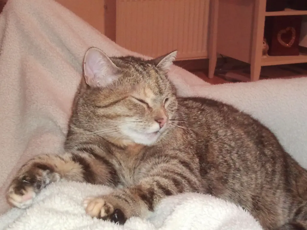 Condolence image of Daniela mit Pauline im ♥️ (+27.05.2021)