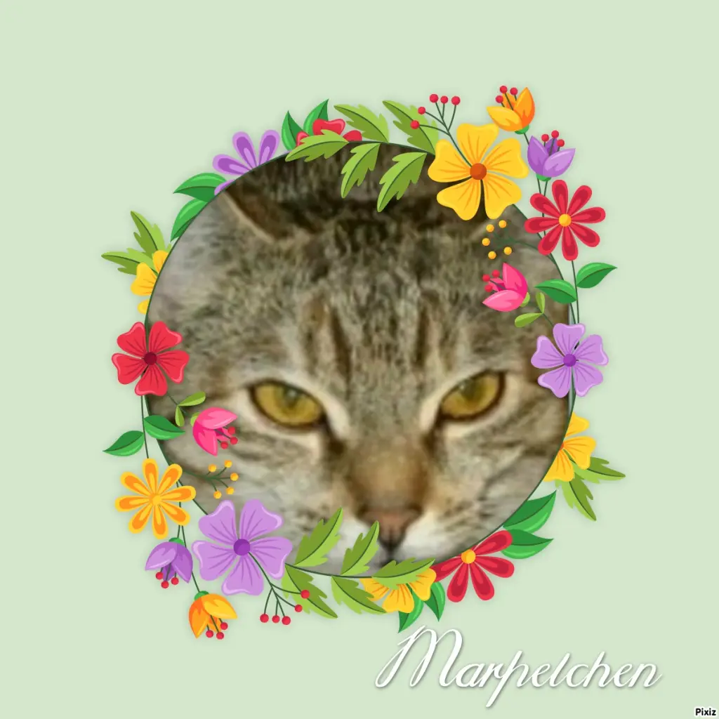 Condolence image of Tanja mit Timmy im Herzen 