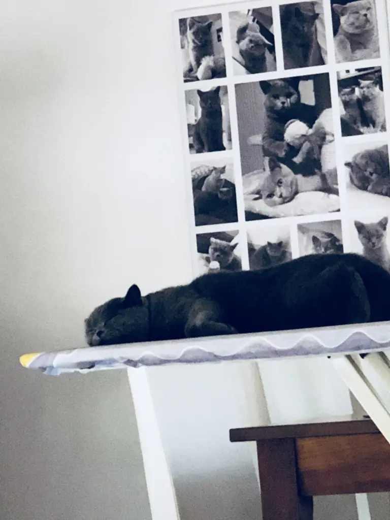 Condolence image of Sonja mit Emma im ❤️