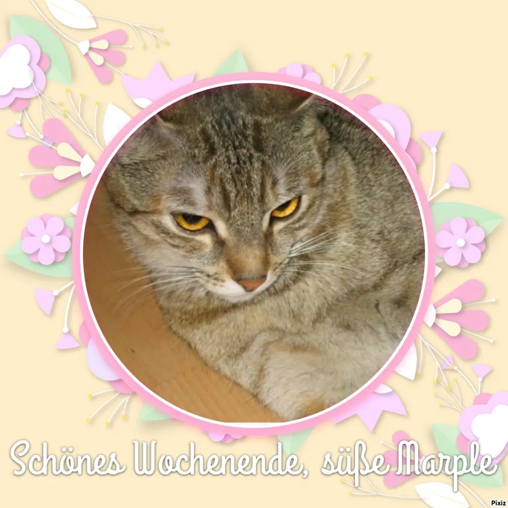 Condolence image of Tanja mit Timmy im Herzen 