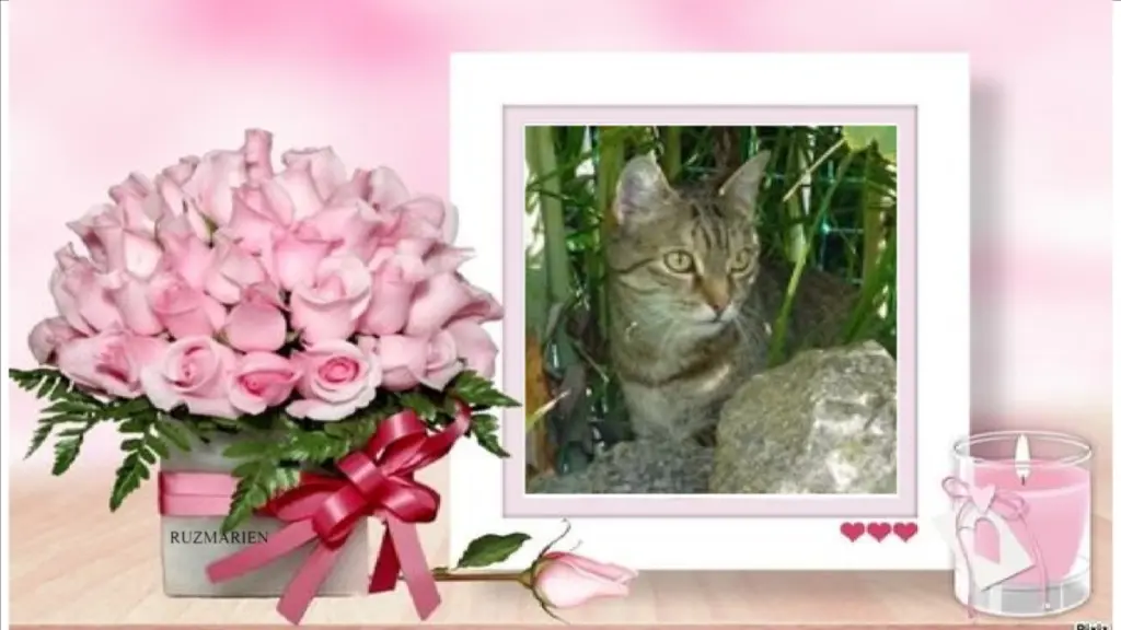 Condolence image of Patricia mit Bunny 