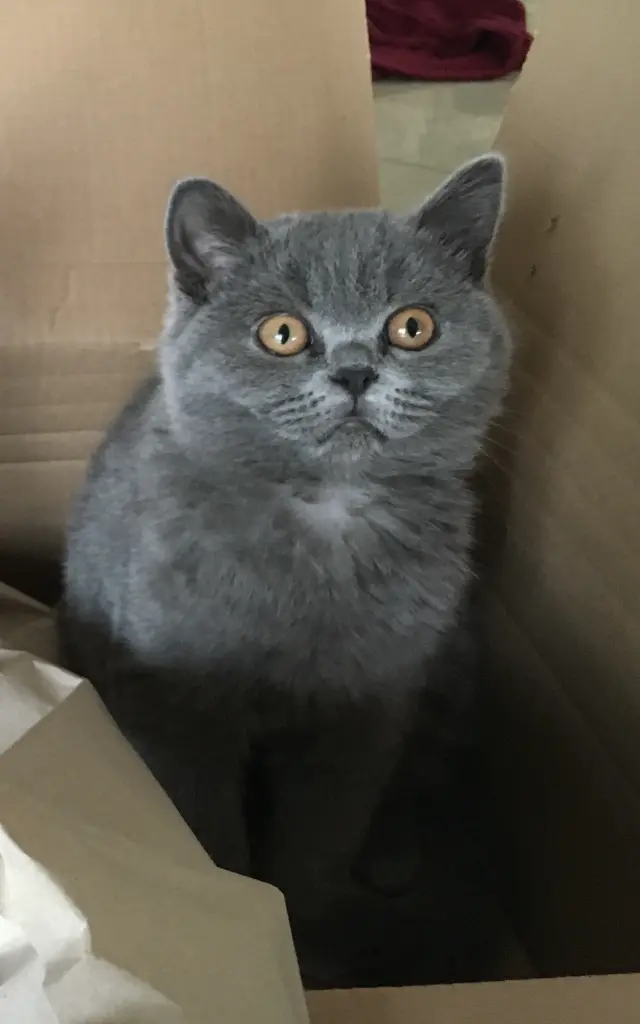 Condolence image of Von Sonja mit Emma❤️