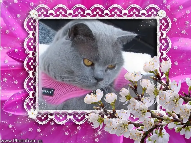 Condolence image of Carmen 