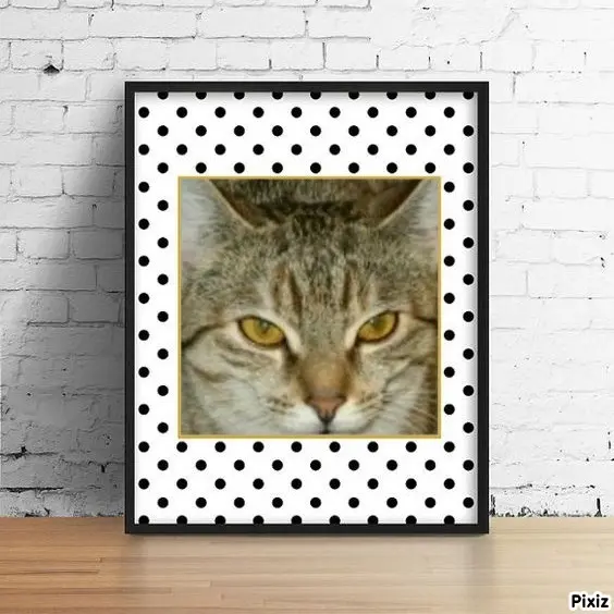 Condolence image of Tanja mit Timmy im Herzen 