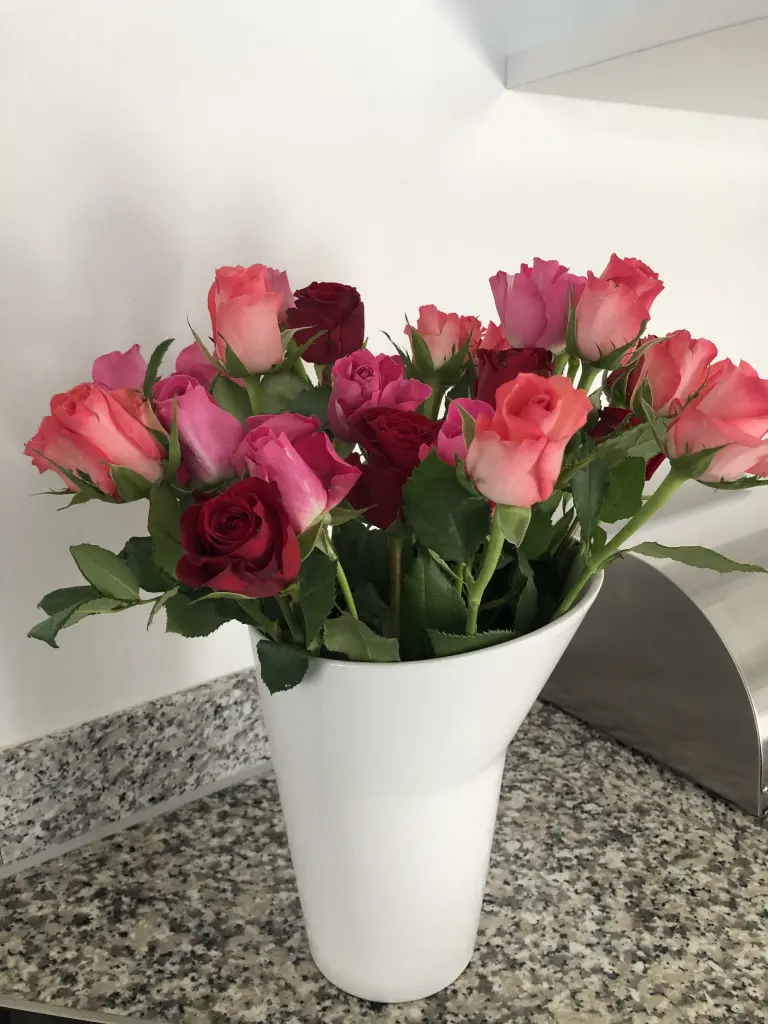 Condolence image of Sonja mit Emma tief im ❤️