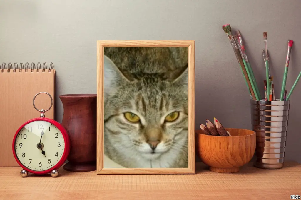 Condolence image of Tanja mit Timmy im Herzen 