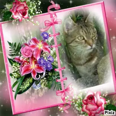 Condolence image of Patricia mit Bunny 