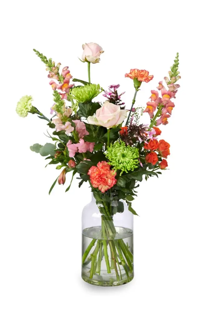 Condolence image of Pauline und Marple für Mama Elisabeth ❤️