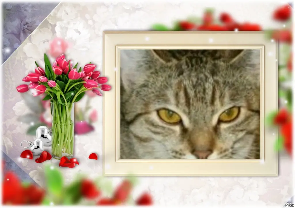 Condolence image of Tanja mit Timmy im Herzen 