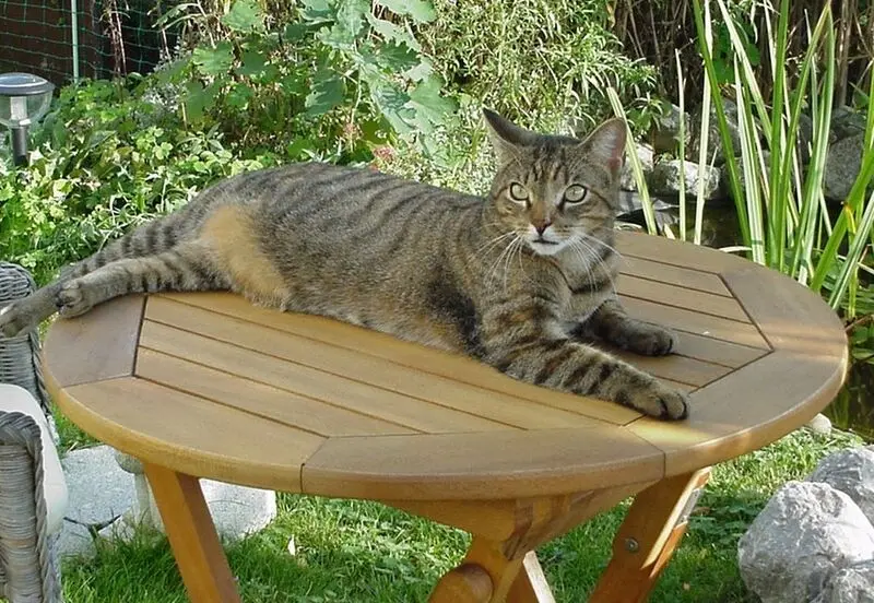 Condolence image of Christie