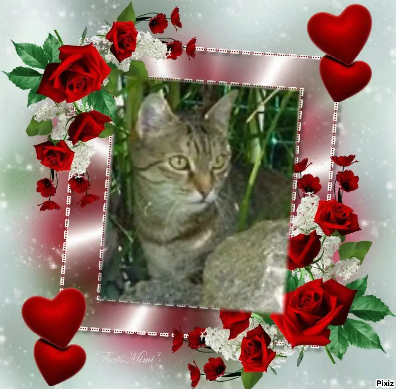 Condolence image of Patricia mit Bunny 