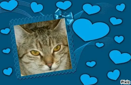 Condolence image of Tanja mit Timmy im Herzen 