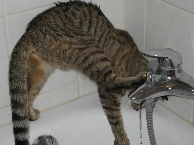 Condolence image of Christie