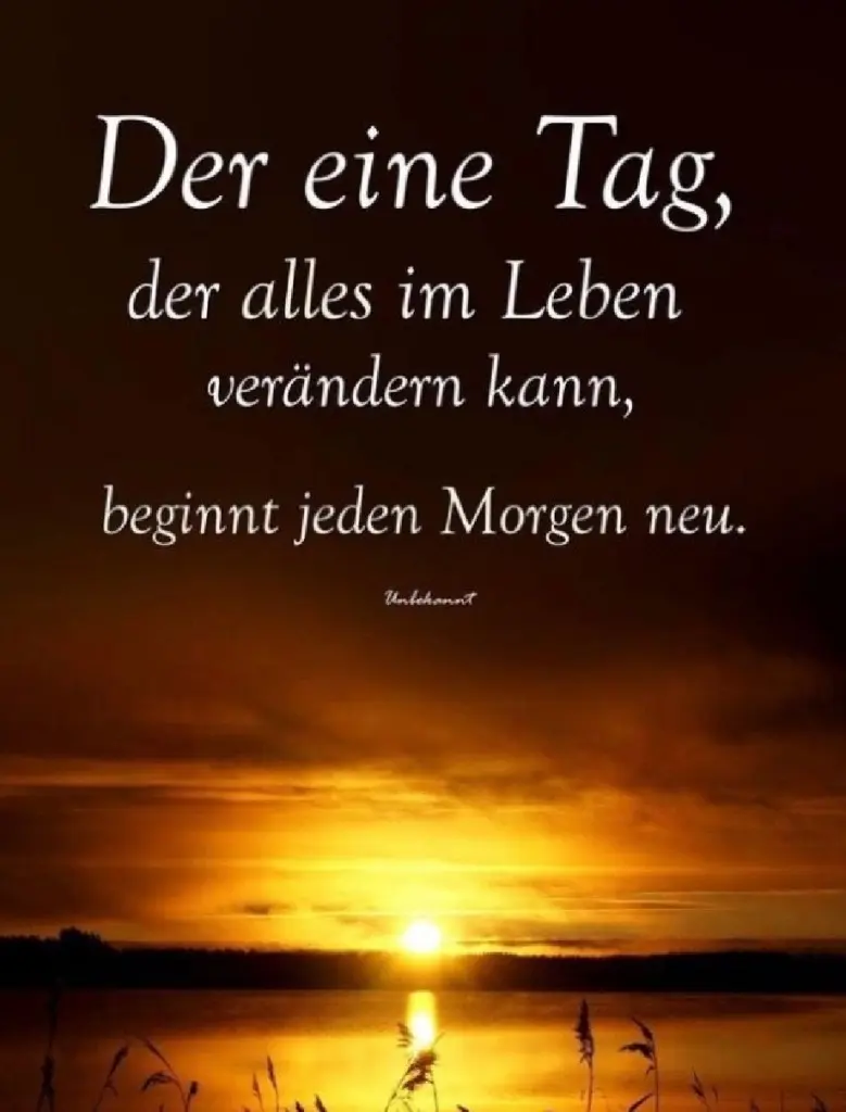 Condolence image of Daniela für Marpelchen und Mama Elisabeth ❤️