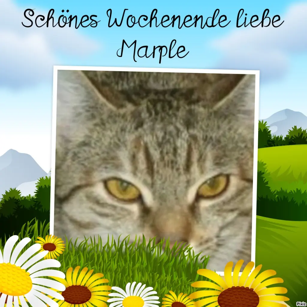 Condolence image of Tanja mit Timmy im Herzen