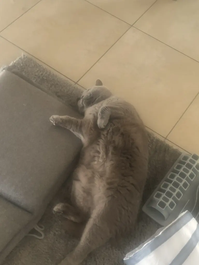 Condolence image of An Marpelchen und Mama Elisabeth❤️