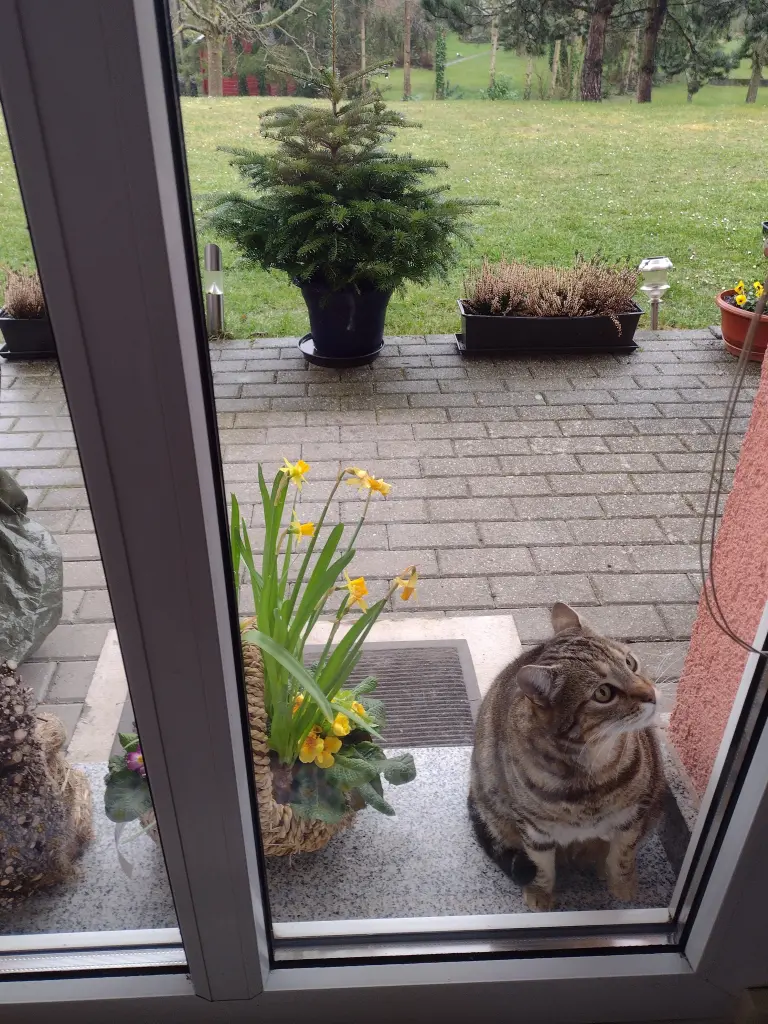 Condolence image of Von Schnucky