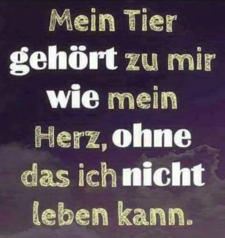 Condolence image of Für Marpelchen und Mama Elisabeth ❤️