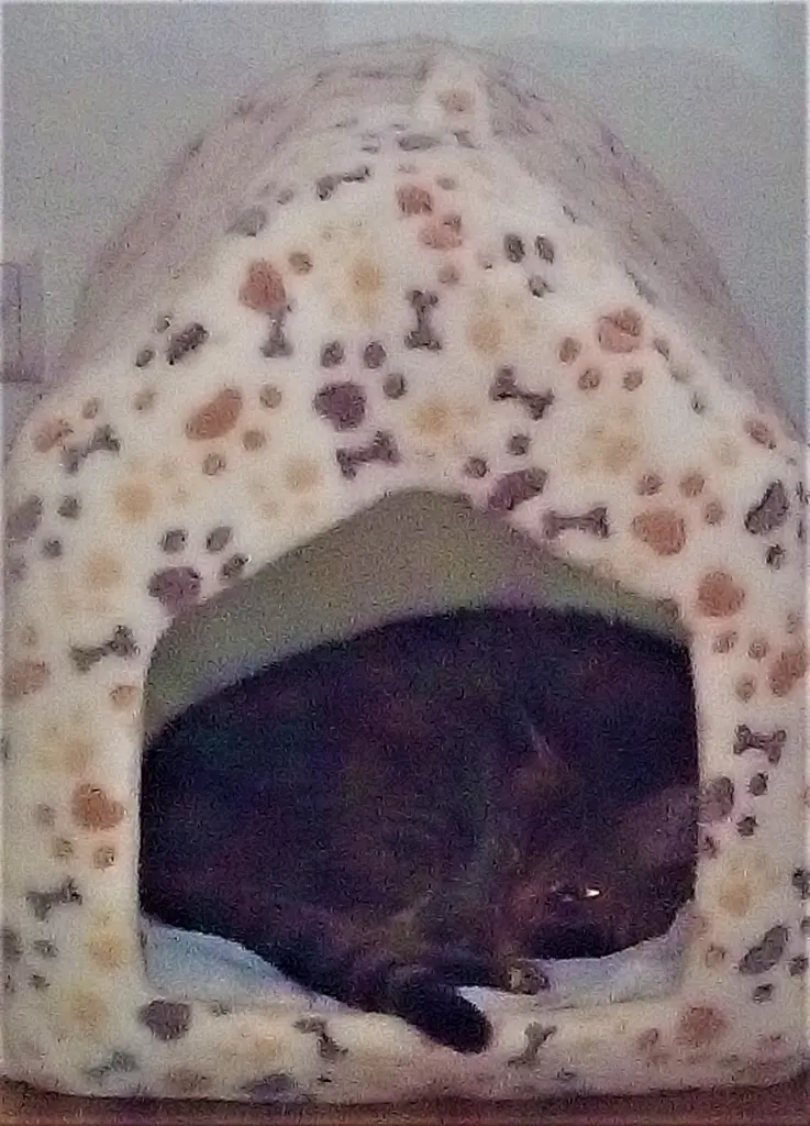 Condolence image of Christie an Marple