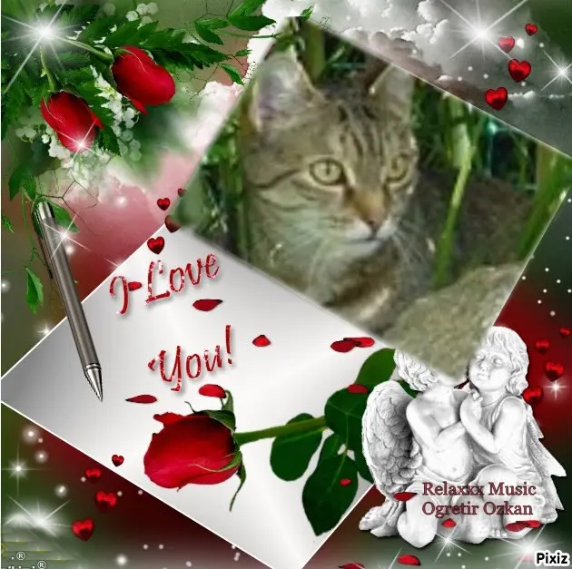 Condolence image of Sternchenpost ⭐️