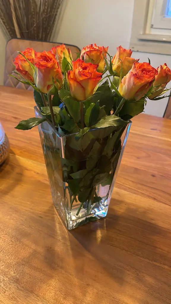 Condolence image of An Marple und Mama Elisabeth❤️