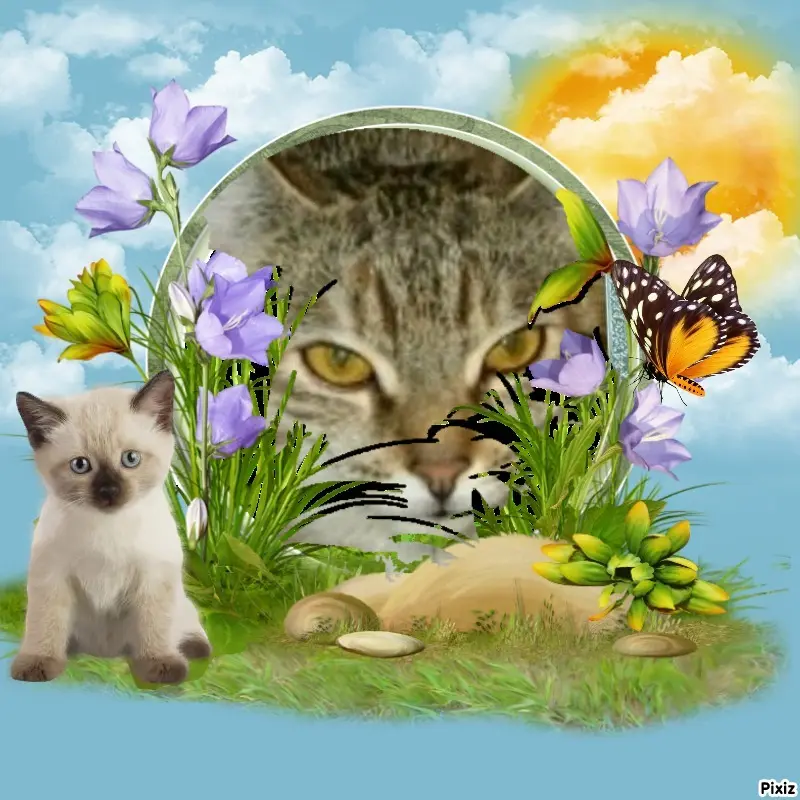 Condolence image of Tanja mit Timmy im Herzen 