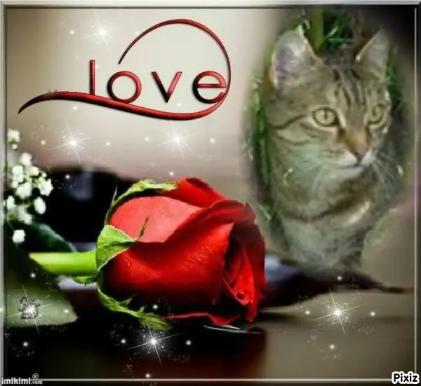 Condolence image of Patricia mit Bunny ❤️ 