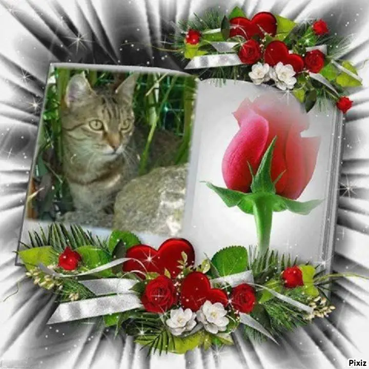 Condolence image of Patricia mit Bunny ❤️ 