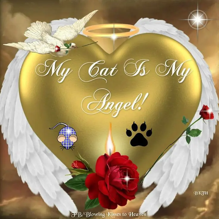 Condolence image of Für das Sternchen Marpelchen ♥️