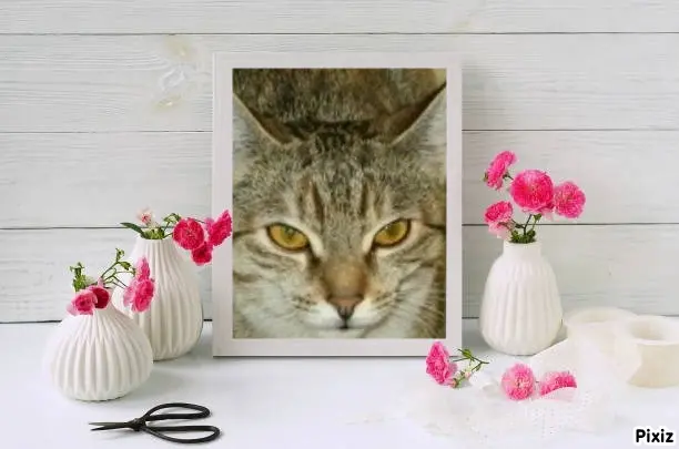 Condolence image of Tanja mit Timmy im Herzen 