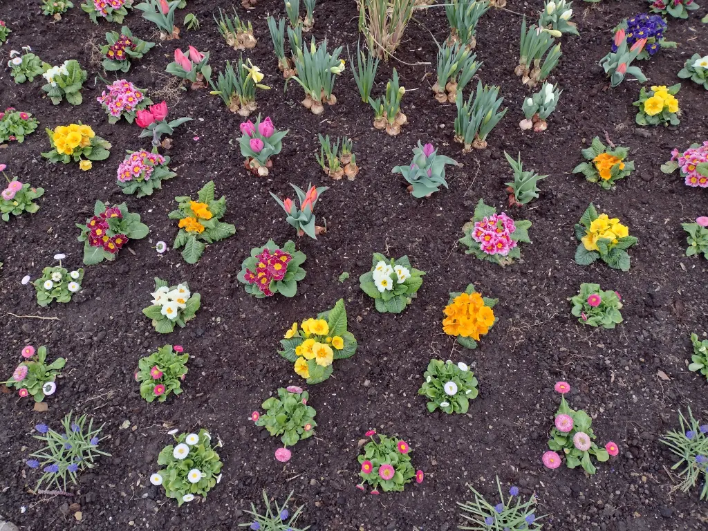 Condolence image of Corinna mit Emma, Pummelchen und anderen Sternlein im Herzen