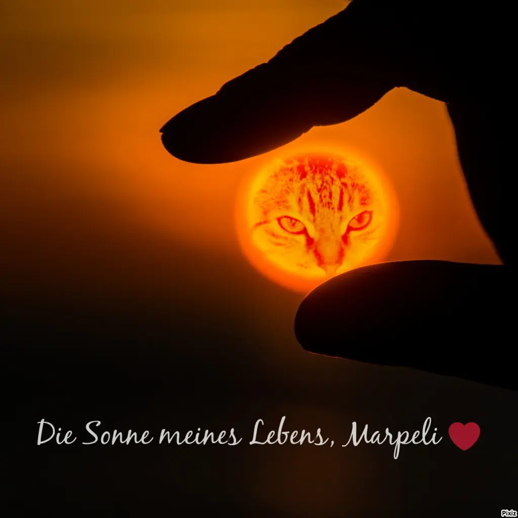 Condolence image of Tanja mit Timmy im Herzen 