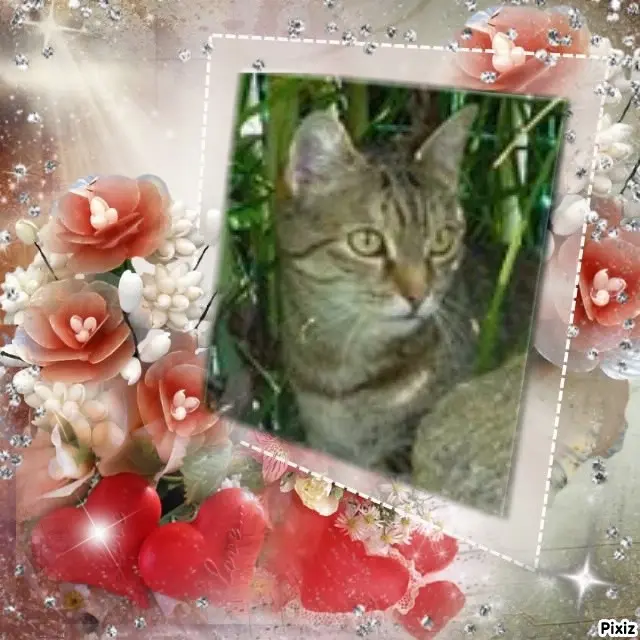 Condolence image of Patricia mit Bunny ❤