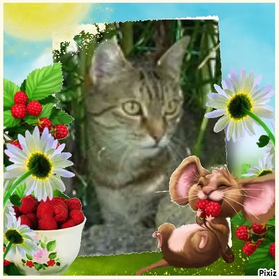 Condolence image of Patricia mit Bunny ❤