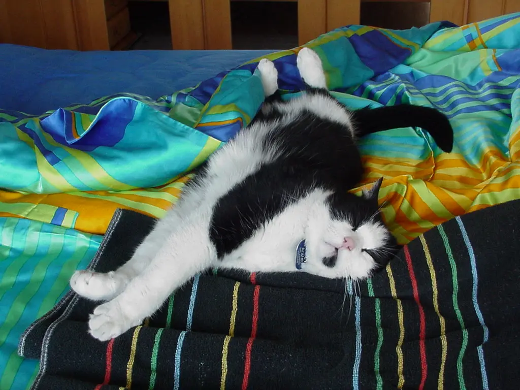 Condolence image of für mein Marpeli