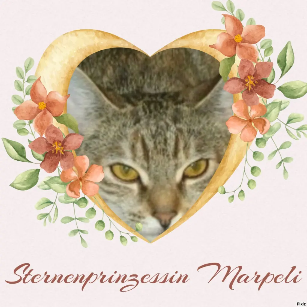 Condolence image of Tanja mit Timmy im Herzen 