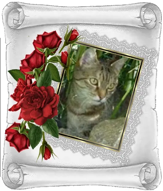 Condolence image of Patricia mit Bunny ❤