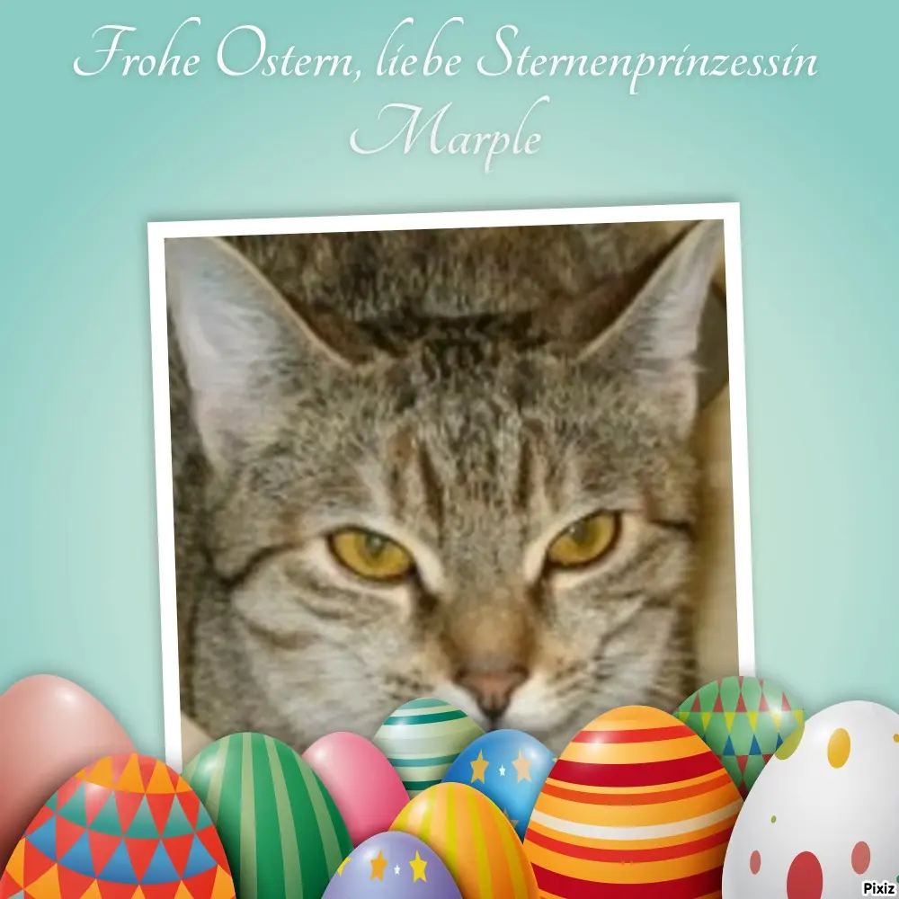 Condolence image of Tanja mit Timmy im Herzen 