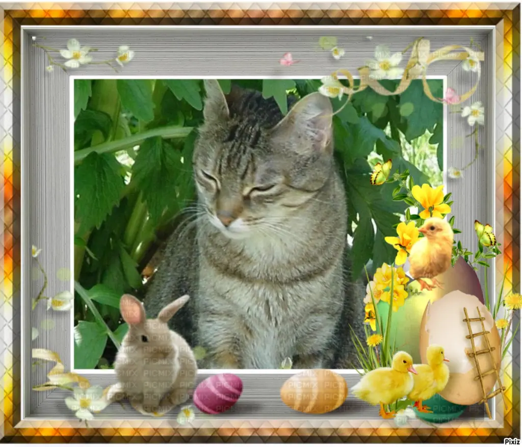 Condolence image of Patricia mit Bunny ❤